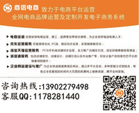 公司簡介 專業(yè)的電子商務運營管理服務